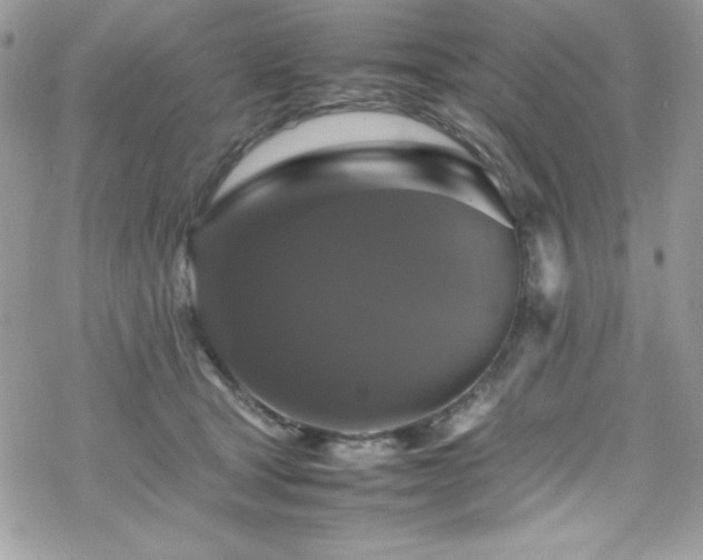 X0000070350465200606121210