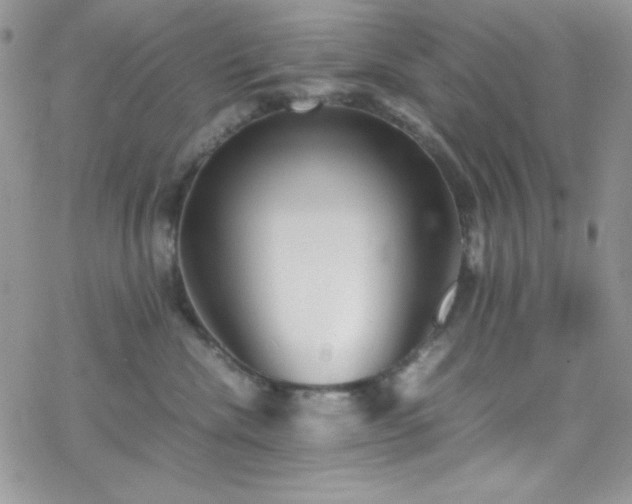 X0000070350476200606121210