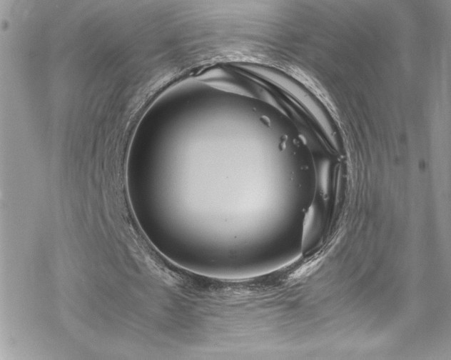 X0000070350481200606121209