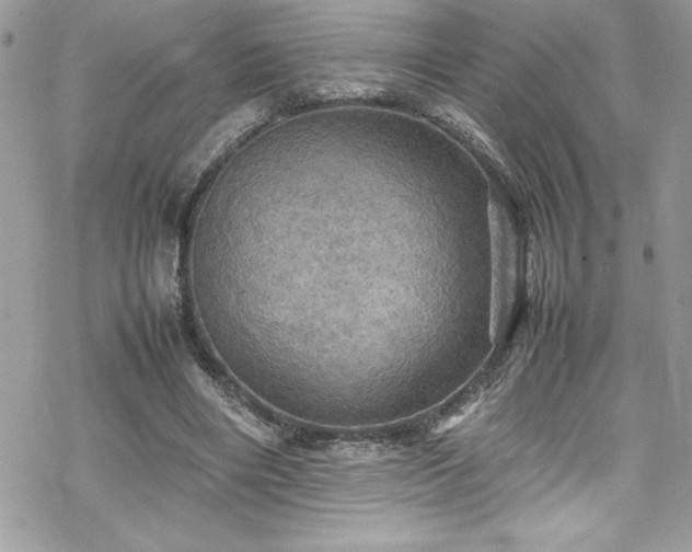 X0000070350490200606121209
