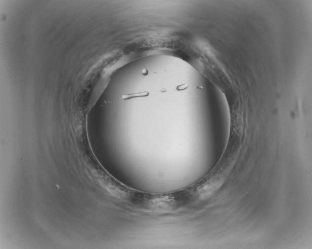X0000070350505200606121209
