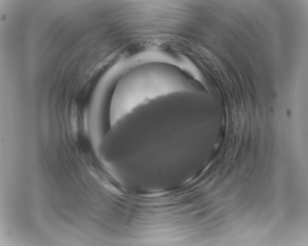 X0000070350510200606121209
