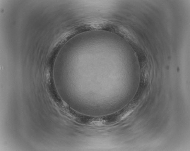 X0000070350595200606121208