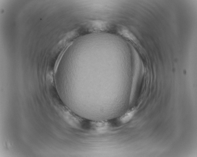 X0000070350621200606121207