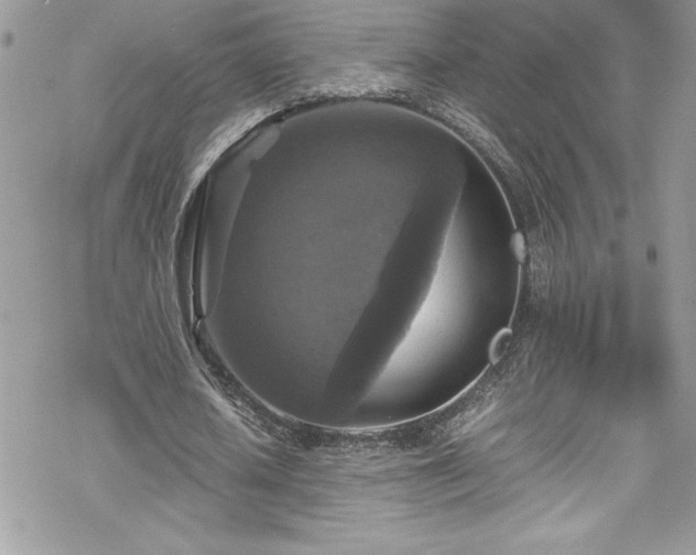 X0000070350626200606121206