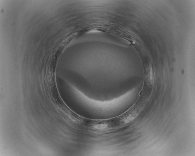 X0000070350653200606121207