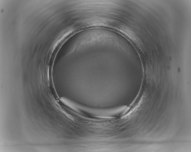 X0000070350790200606121204