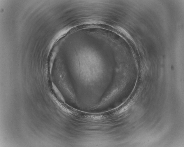 X0000070350831200606121203