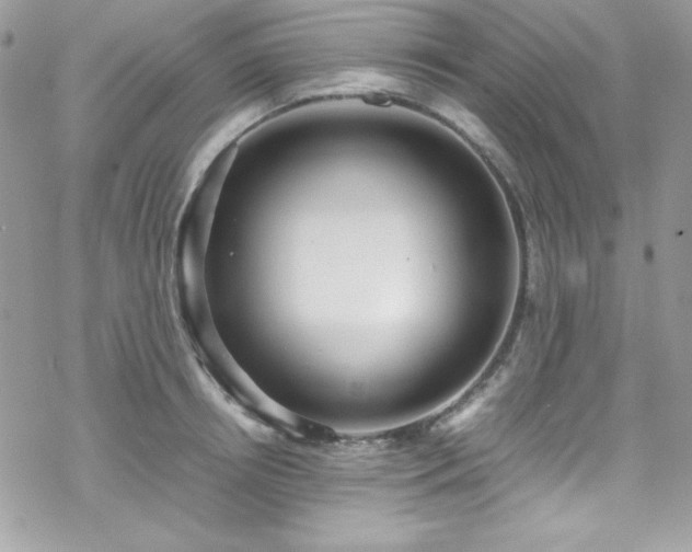 X0000070350850200606121204