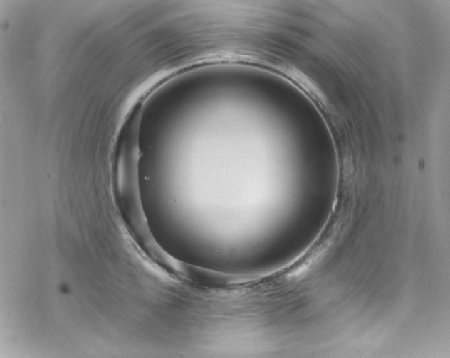 X0000070350854200606121204