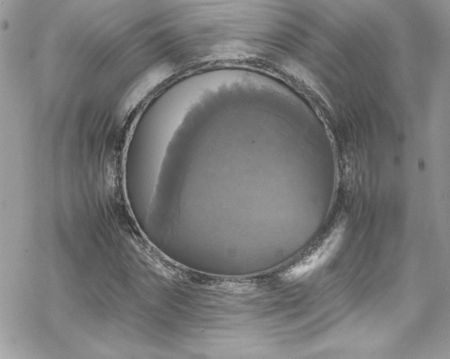 X0000070350874200606121203