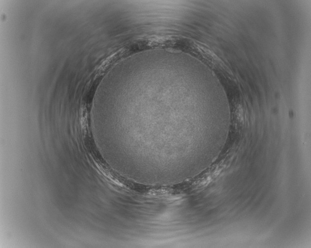 X0000070350914200606121202