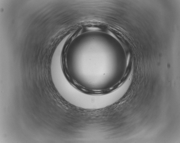 X0000070351014200606121200