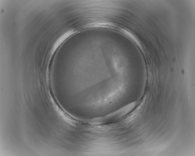 X0000070351050200606121201