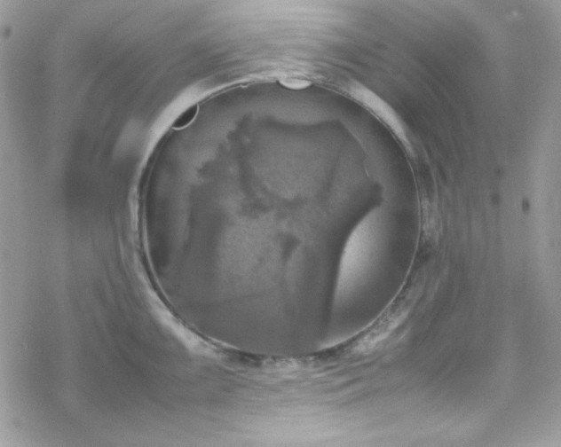 X0000070351099200606121159
