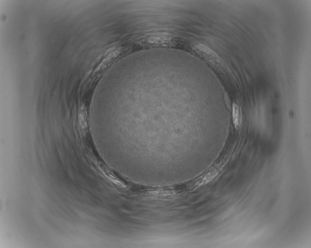 X0000070351107200606121159