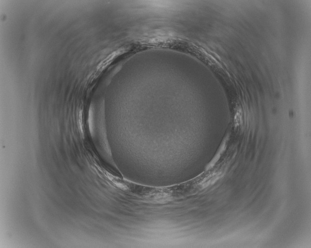 X0000070351156200606121158