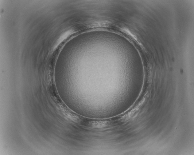 X0000070351211200606121157