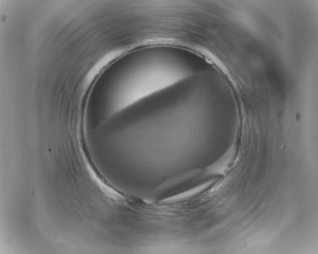 X0000070351245200606121158