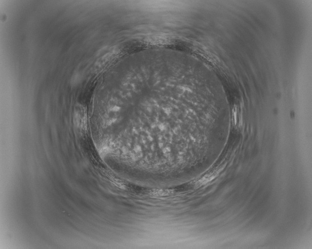 X0000070351251200606121157