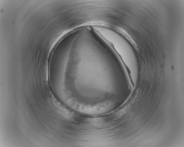 X0000070351276200606121156