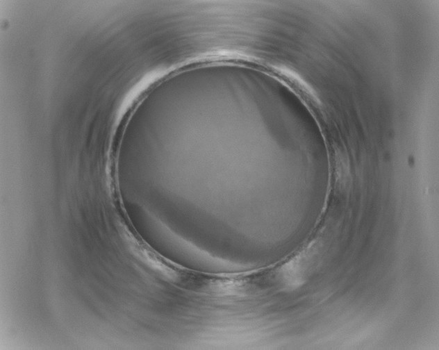 X0000070351278200606121156