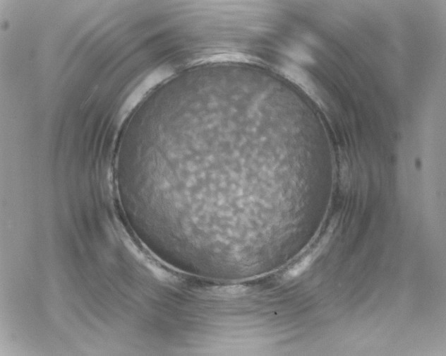 X0000070351282200606121156
