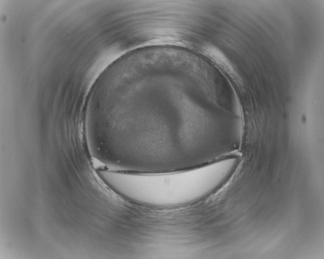 X0000070351284200606121156