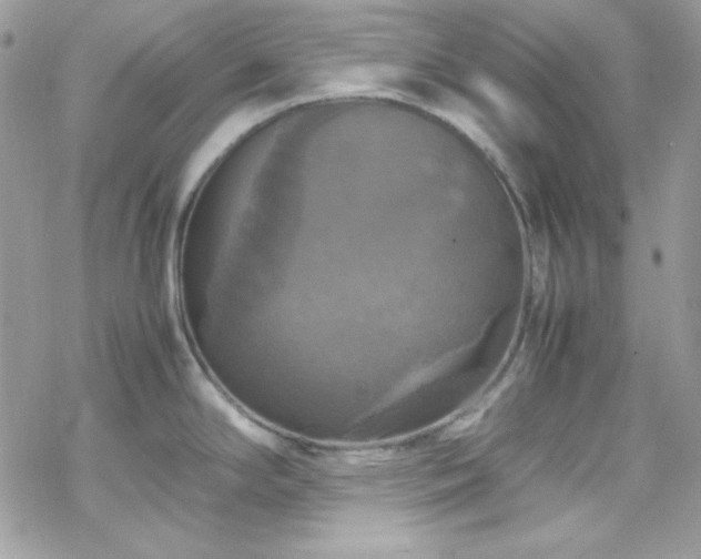 X0000070351294200606121156