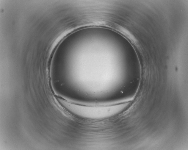 X0000070351332200606121156