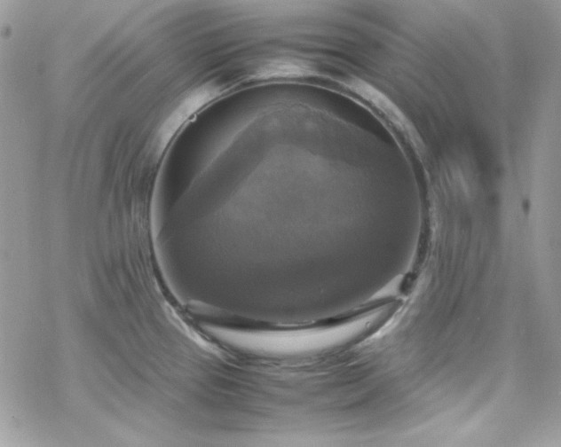X0000070351337200606121156