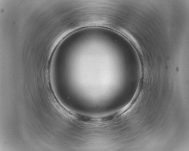 X0000070351340200606121156