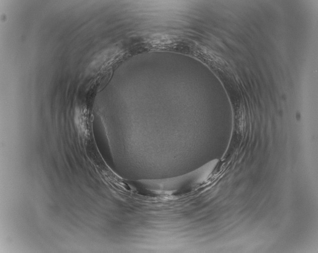 X0000070351346200606121155