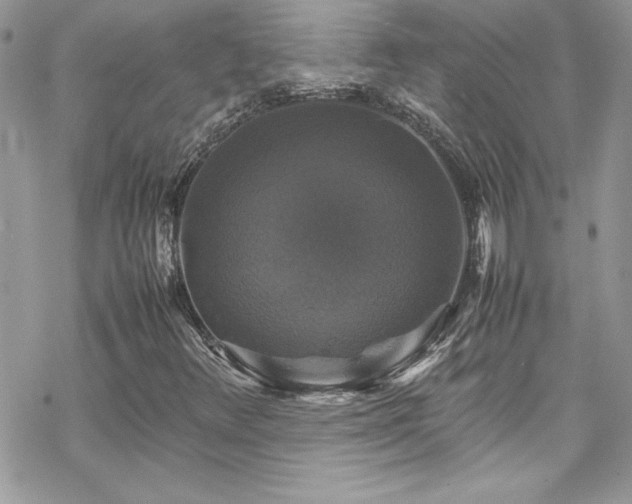 X0000070351348200606121155