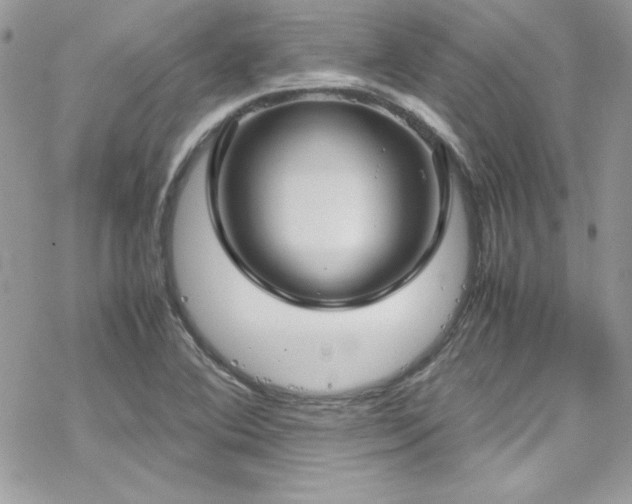 X0000070351364200606121155