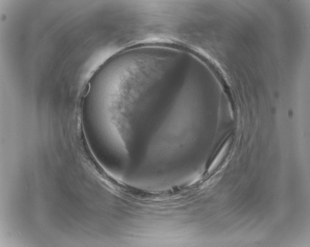 X0000070351367200606121155