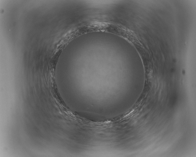 X0000070351397200606121154