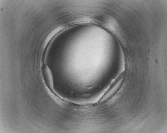 X0000070351426200606121154