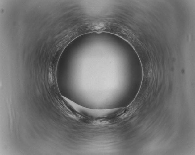 X0000070351442200606121154