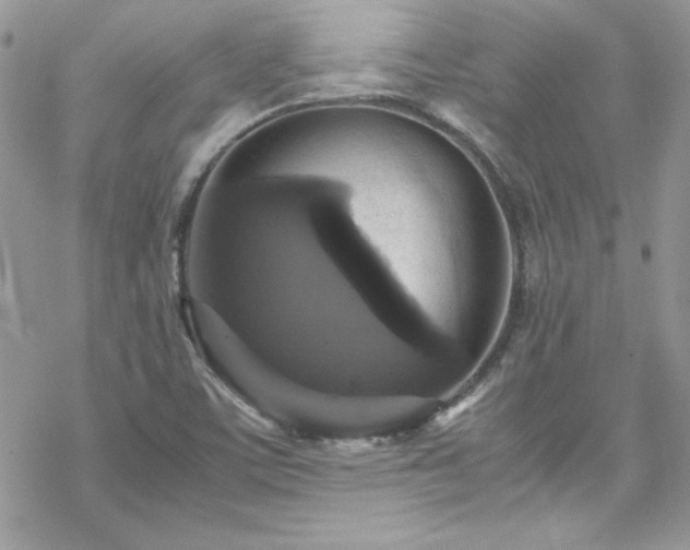 X0000070351459200606121154