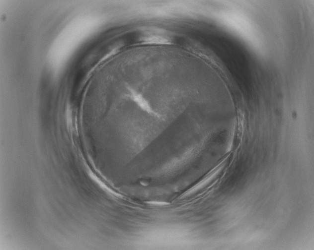 X0000070351487200606121153