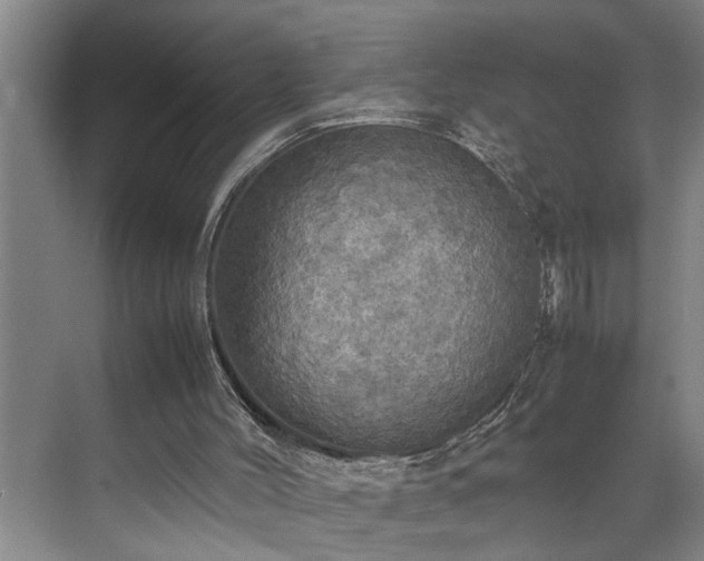 X0000070350004200606161328