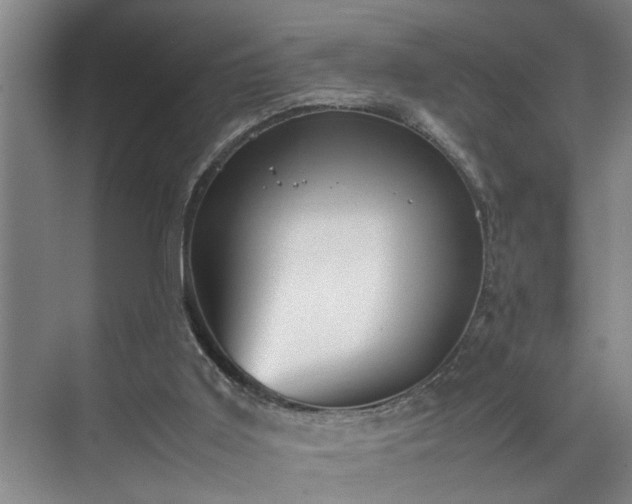 X0000070350011200606161328