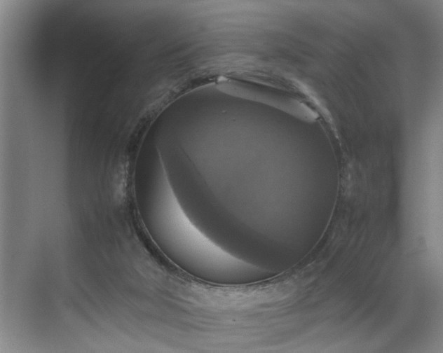 X0000070350018200606161328