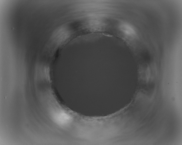 X0000070350029200606161328