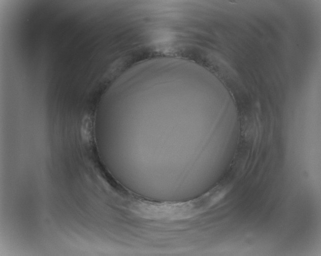 X0000070350036200606161328