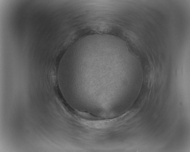 X0000070350040200606161328