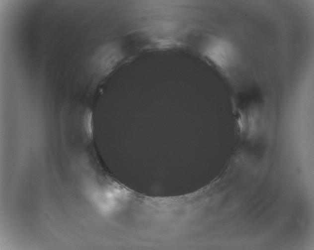 X0000070350041200606161328