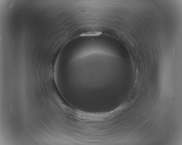 X0000070350048200606161328