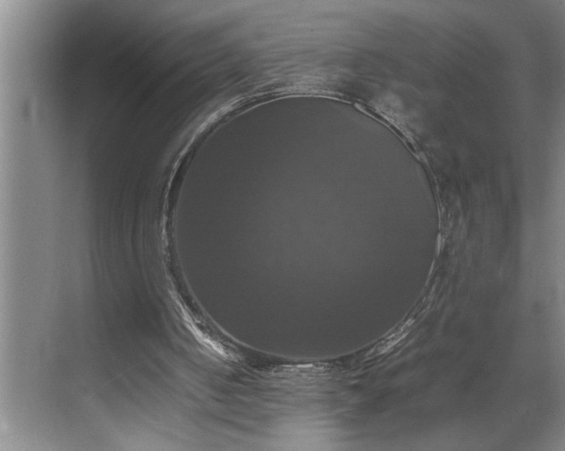 X0000070350050200606161327
